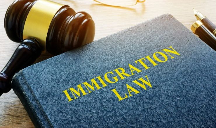 Are immigration lawyers worth the hype?