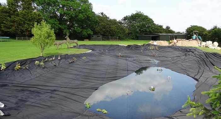 How to maintain your pond?